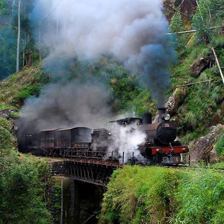 Damsen Homestay Ella Bagian luar foto