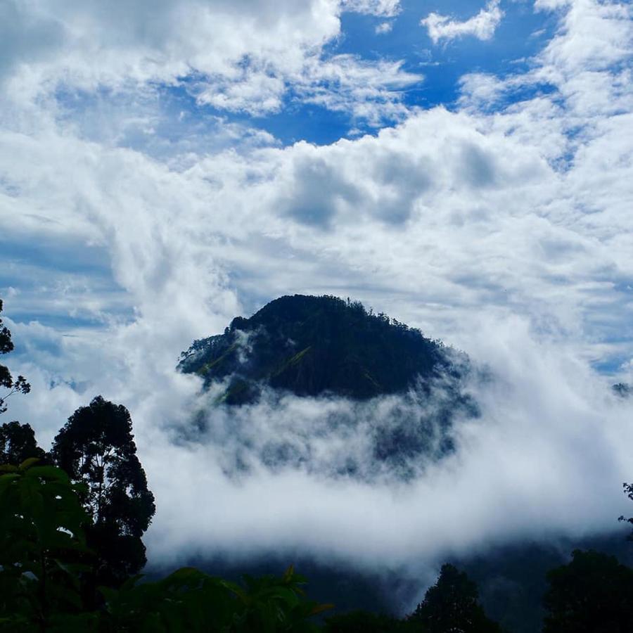 Damsen Homestay Ella Bagian luar foto