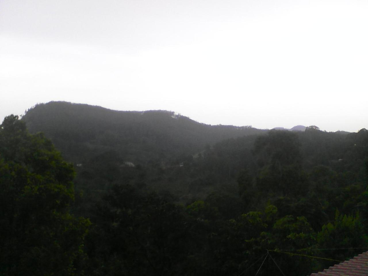 Damsen Homestay Ella Bagian luar foto