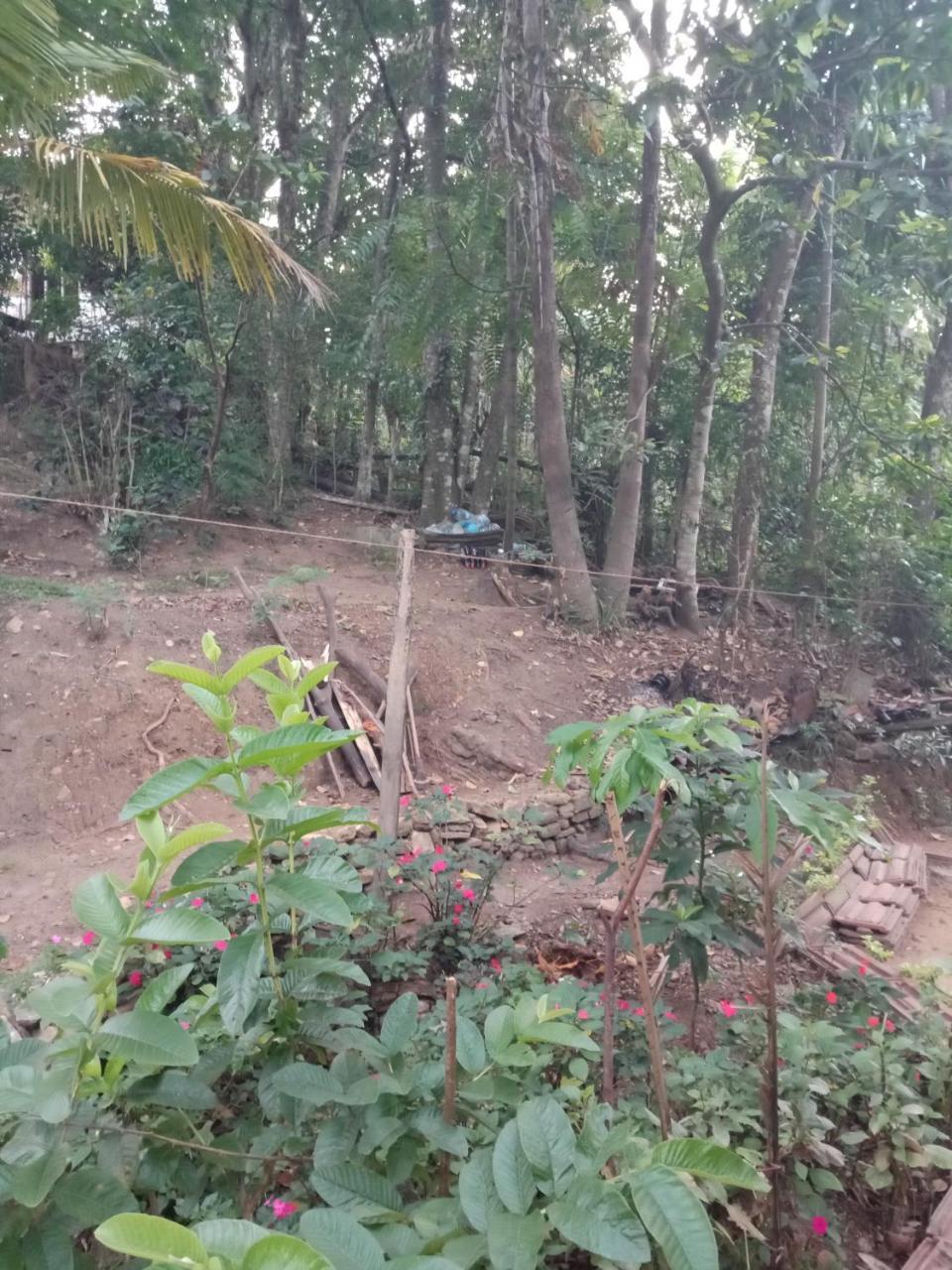 Damsen Homestay Ella Bagian luar foto