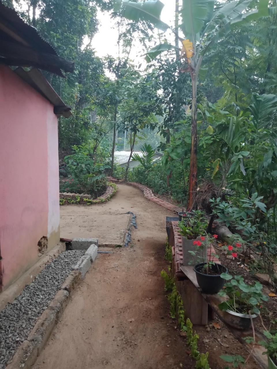 Damsen Homestay Ella Bagian luar foto