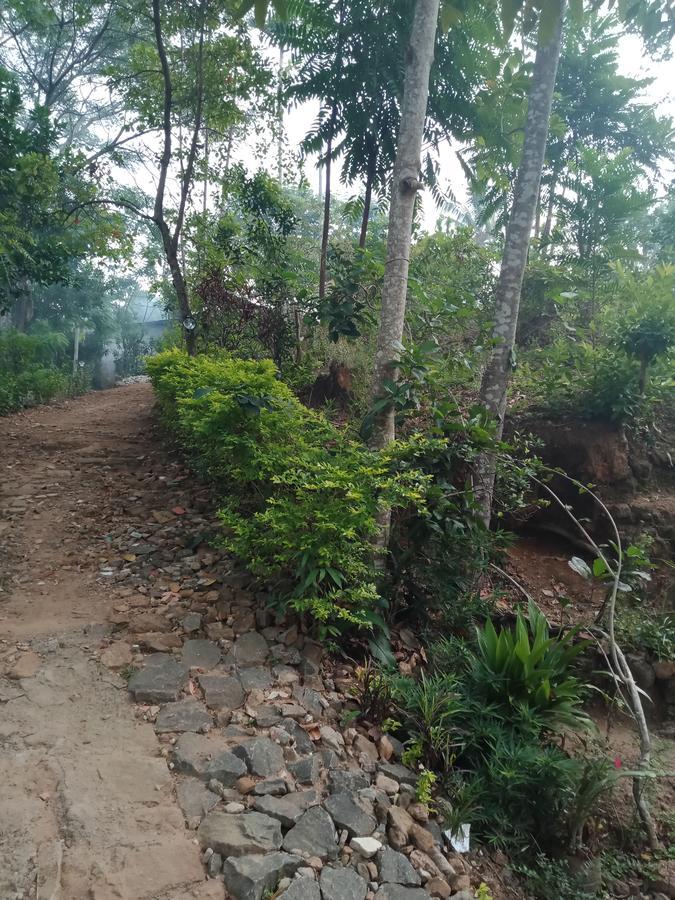 Damsen Homestay Ella Bagian luar foto