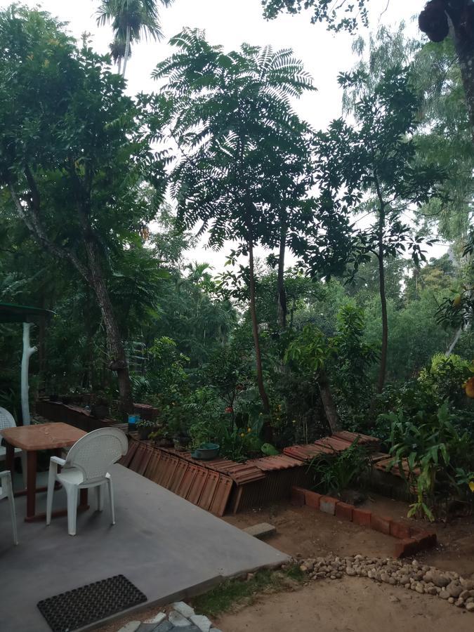 Damsen Homestay Ella Bagian luar foto