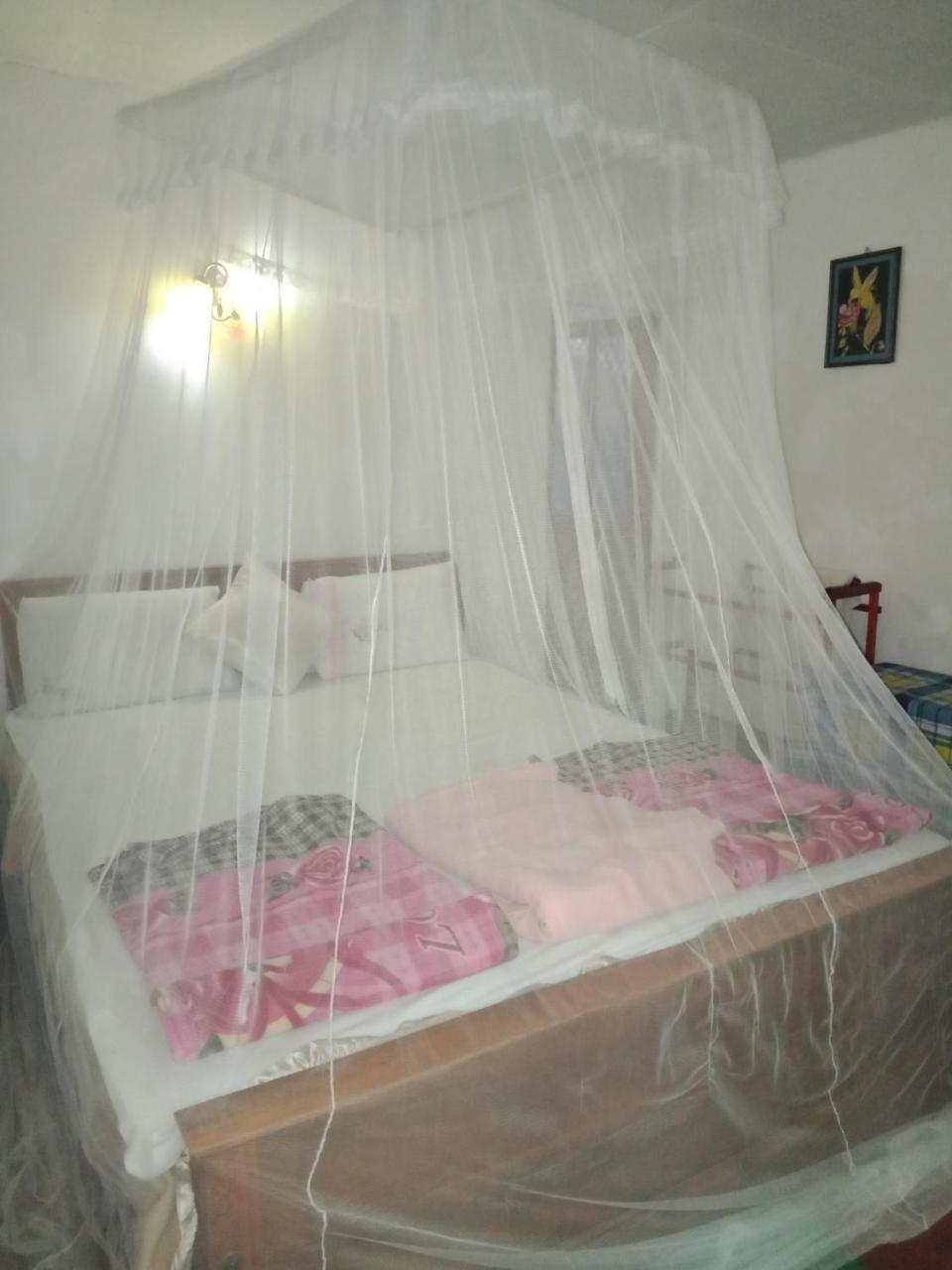 Damsen Homestay Ella Bagian luar foto