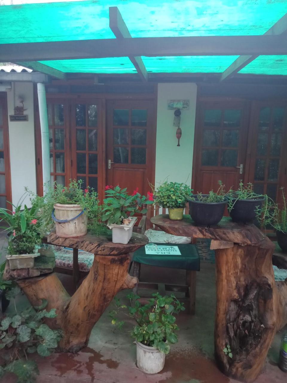Damsen Homestay Ella Bagian luar foto